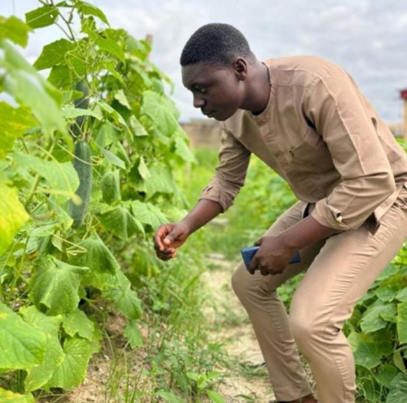 Man inspecting farm